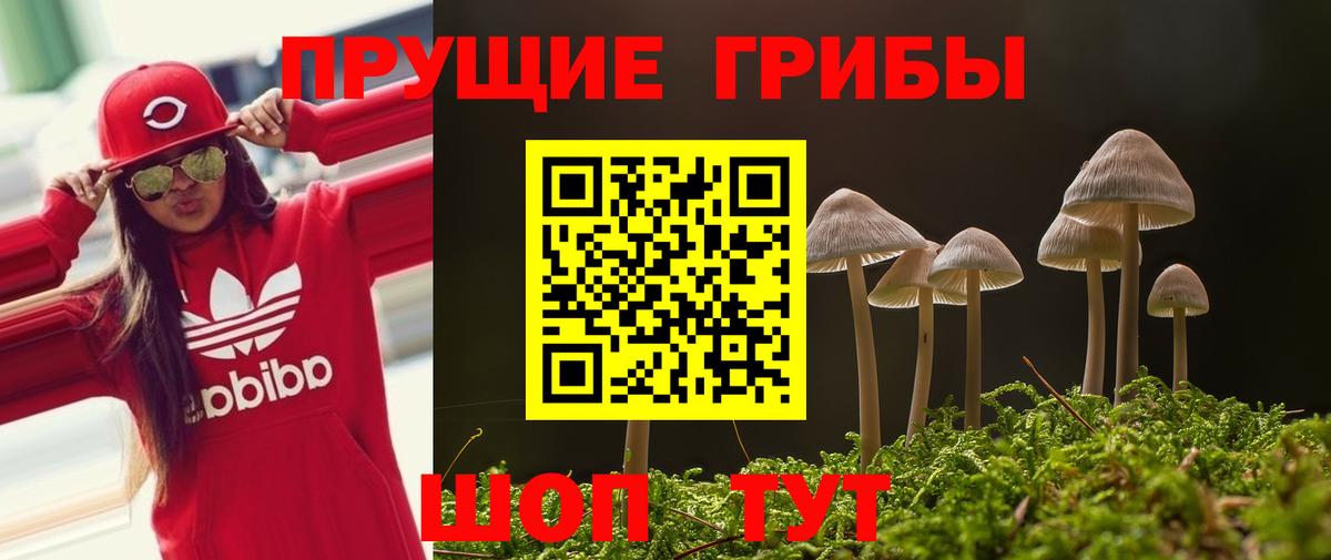 Галлюциногенные грибы GOLDEN TEACHER  Вход с VPN  Луга  Псилоцибиновые грибы Magic Shrooms 